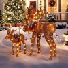 Costway 2 PCS Lighted Moose Family Light-up Xmas Deer Decorations with 170 LED Lights - 4 of 4