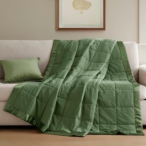 Sapphtopaz Lightweight Down Alternative Blanket with Satin Trim, Suitable for All Seasons Blankets for Bed, Bedding for Home - 1 of 4