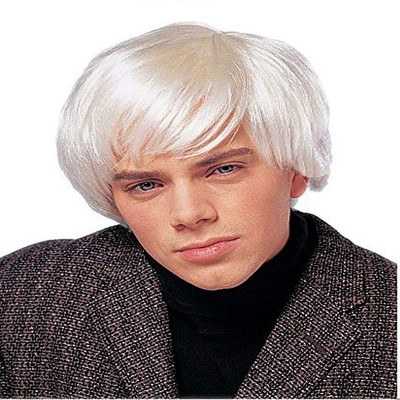 Costume Culture by Franco LLC Artist Men's Costume Wig - Platinum