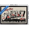 Trends International IT: Welcome to Derry (2025) - Greetings From Derry Framed Wall Poster Prints - 3 of 4