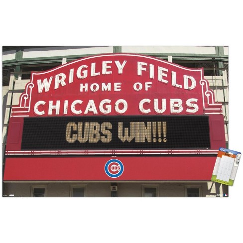 MLB Chicago Cubs - Anthony Rizzo 16 Wall Poster, 14.725 x 22.375 