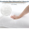 Aghana Digitals Hotel Quality Queen Size Bed Pillows Set of 2, Soft Supportive - 4 of 4