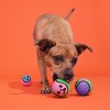 BARK Halloween Muttster Madness Zombie Head Ball Dog Ball Toy - 3 of 4