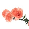 Allstate Floral Mini Carnation Artificial Floral Spray - 27.5" - Peach - 4 of 4