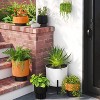 Arches Indoor Outdoor Planter Pot Terracotta Orange - Threshold™ - 2 of 4