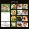 2026 Square Wall Calendar, Pomeranian, 16-Month Animals Theme with 180 Reminder Stickers (12x12 In) - 4 of 4