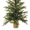 Melrose Lighted Pine Tree - 2 of 2