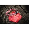 Country Brook Petz Deluxe Dog Collar - Critter Corner Collection - Made In The U.S.A. - 3 of 4