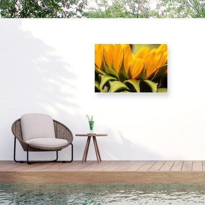 Trademark Fine Art - Mick Agterberg Close Up Details Of A Helianthus Matted Framed Art