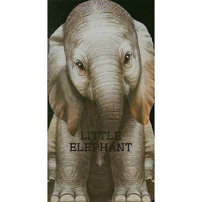 Little Elephant - (Look at Me Books (Barron's)) (Board Book)