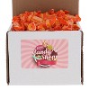 Tootsie Fruit Chews Candy in Box, 1lb (Individually Wrapped) - 2 of 4