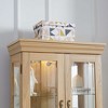 Dolonm 71 in.H Glass Display Cabinet, Accent Storage Cabinet with LED Lighted Curio with Adjustable Shelves & Wood Frame - 3 of 4