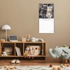 2026 Square Wall Calendar, Cat Portraits, 16-Month Black and White Photos with 180 Reminder Stickers (12x12 In) - 2 of 4