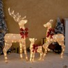 Karl Home 3PCS Reindeer Family Christmas Decoration with LED Lights - 3 of 3