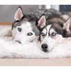 PAW BRANDS PupRug Faux Fur Orthopedic Luxury Dog Bed - 3 of 4