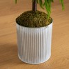 Nearly Natural 5' Artificial Real Touch Norfolk Island Pine in Metal Tin Planter with Natural Look - 2 of 4