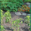 Origin Point Garden Zone 16-Gauge Green Vinyl Coated Garden Fence, 36" x 50' - 4 of 4