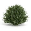 Melrose Spring Grass Half Orb (Set of 6) - 2 of 3