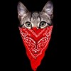 Boy's Design By Humans Gangster Cat By clingcling T-Shirt - 2 of 4