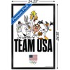 Trends International Looney Tunes x Team USA - Portrait Framed Wall Poster Prints - 3 of 4