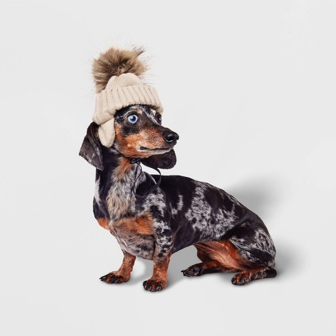 Sausage dog outlet hat