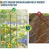 Garden Trellis, 11x55 Inch Rustproof Metal Trellis for Climbing Plants, Roses, Vines, Flowers – Outdoor & Potted Plant Support - 4 of 4