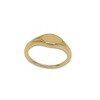 Adornia Tarnish Resistant 14k Gold Plated Signet Ring - 4 of 4