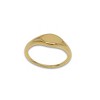 Adornia Tarnish Resistant 14k Gold Plated Signet Ring - image 4 of 4