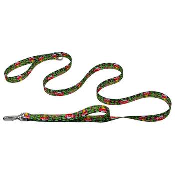 Country Brook Petz Deluxe Space Aliens Dog Leash