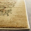 Lyndhurst LNH224 Power Loomed Rugs - Safavieh - 3 of 4