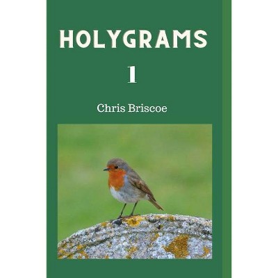 Holygrams 1 - by  Chris Briscoe (Paperback)