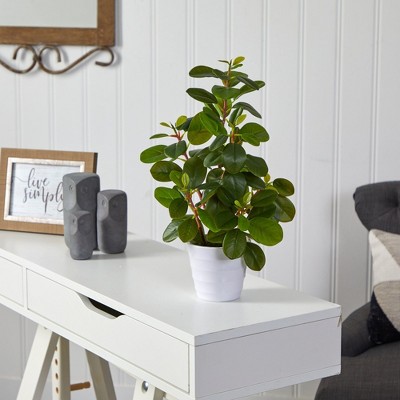 16'' Green Peperomia Artificial Plant in White Planter