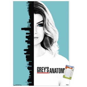 Trends International Grey's Anatomy Season 13 - One Sheet Unframed Wall Poster Prints - 1 of 4