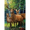 Briarwood Lane Summer Garden Flag 12x18 For Outdoor Deer Family For Summer Garden Flag Flags For Outside - 3 of 4