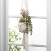 Sullivans Artificial Macrame Pendent Succulent Pot 12"H Green - 3 of 3