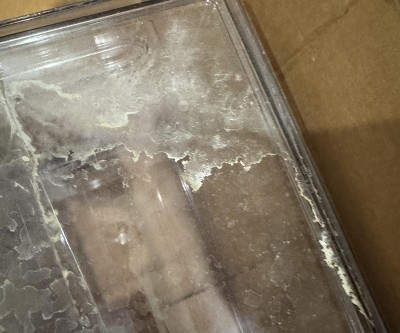 Guest review image 4 of 4, zoom in