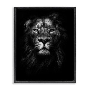 Stupell Industries Lion In Shadows Photography Floating Frame Canvas Art, Black, 17" x 21" - 1 of 4
