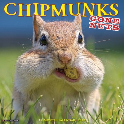 2022 Wall Calendar Chipmunks (Gone Nuts!) - Willow Creek Press