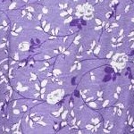 purple lily ivory