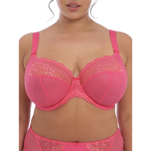 Elomi Women's Plus Size Morgan Underwire Banded Stretch Lace Bra, Ballet  Pink, 32GG : : Clothing, Shoes & Accessories