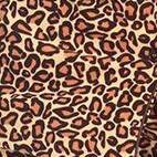 brown cheetah