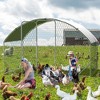 Jojoka Large Metal Chicken Coop, Dome Chicken Coop with Upgraded Tri-Support Frame, Waterproof Anti-UV Chicken Run, Outdoor Coop for Ducks & Rabbits - 3 of 4