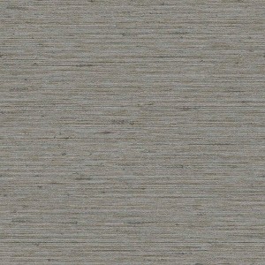 Silk Texture Ecru Grey Neutral Plain Paste the Wall Wallpaper - 1 of 4
