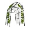 Garden Arch Trellis 7.2ft Extra Tall Metal Arbor for Climbing Plants, Outdoor Vegetable & Flower Support, Includes Clips & Netting - 3 of 4
