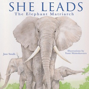 She Leads - by  June Smalls (Hardcover) - 1 of 1
