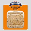 Armstrong Wild Bird Food Bird Grub Suet Cake, 10.6oz (Pack of 12) - 3 of 4