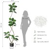7FT Artificial Plants Rubber Tree with Black Resin Pot& White Stone Faux Fiddle Leaf Fig Tree Indoor Artificial Trees Tall Plant - 2 of 4