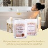 Magnificent 101 Set of 3 Long-Lasting Abundance Unlimted Mindset Smudge Candles | 3.5 Oz Each - 42 Hour Burn - 2 of 4