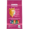 IAMS Proactive Health Adult Urinary Tract Healthy Chicken Flavor Dry Cat Food - 2 of 4