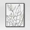 24" x 30" Botanical Sketch Framed Wall Canvas White/Black - Project 62™ - image 4 of 4